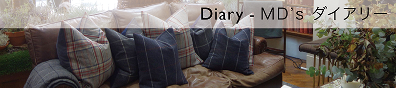マーティンの日記